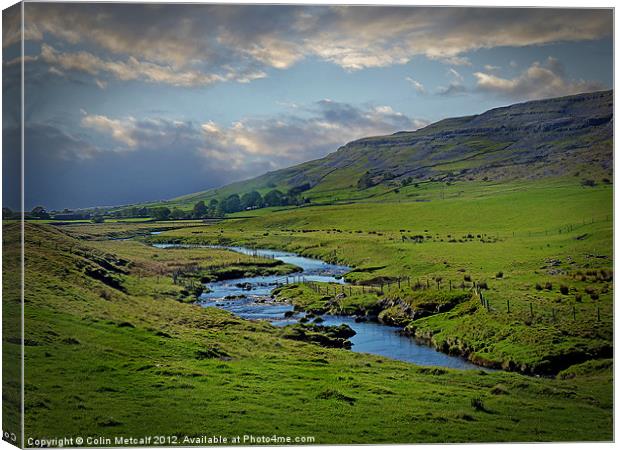 Meadering Canvas Print by Colin Metcalf