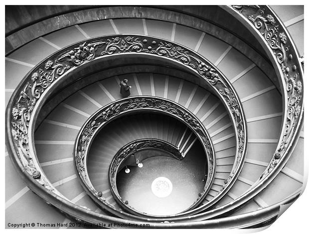 Spiral Staircase of the Vatican Museum Print by Tom Hard