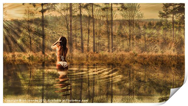 Bathing in the morning sun Print by Rob Toombs