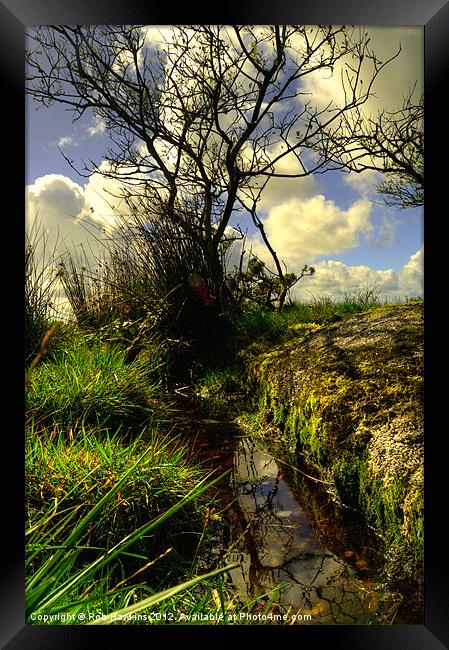 Trees, grass, water & sky Framed Print by Rob Hawkins