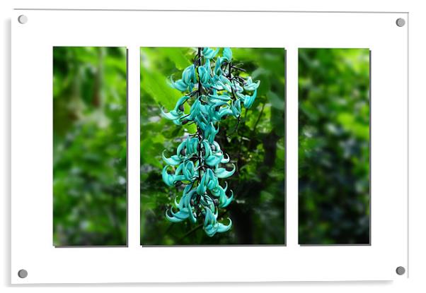 Turquoise Jade Vine Flower Acrylic by Elaine Manley