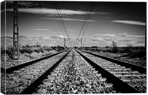 Across the lines Canvas Print by Sean Needham