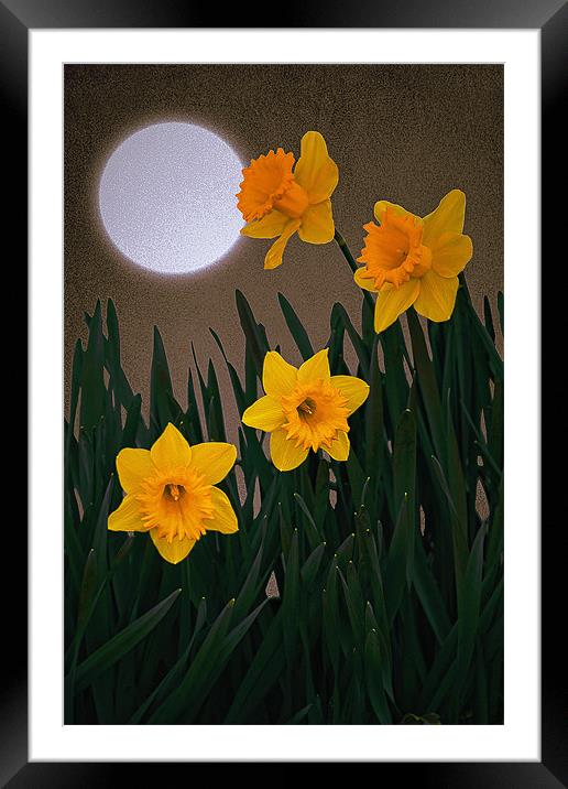 IT MUST BE SPRING Framed Mounted Print by Tom York