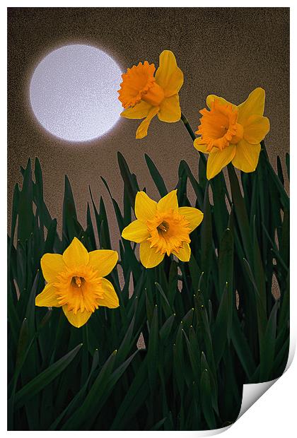 IT MUST BE SPRING Print by Tom York