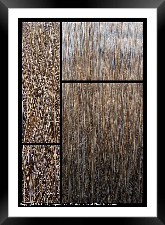 Reeds abstract Framed Mounted Print by Alfani Photography