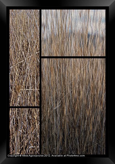 Reeds abstract Framed Print by Alfani Photography
