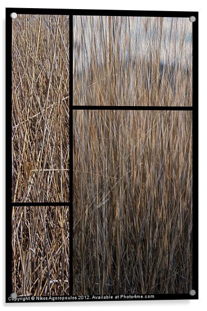 Reeds abstract Acrylic by Alfani Photography