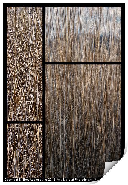 Reeds abstract Print by Alfani Photography