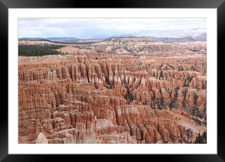 Bryce Canyon Framed Mounted Print by Julie Ormiston