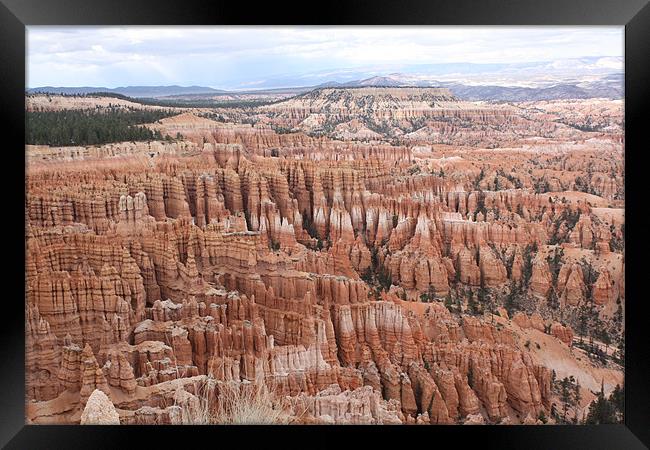 Bryce Canyon Framed Print by Julie Ormiston