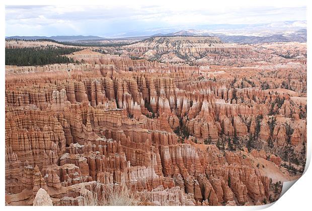 Bryce Canyon Print by Julie Ormiston