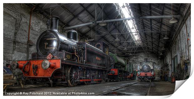 Tanfield Trains Print by Ray Pritchard