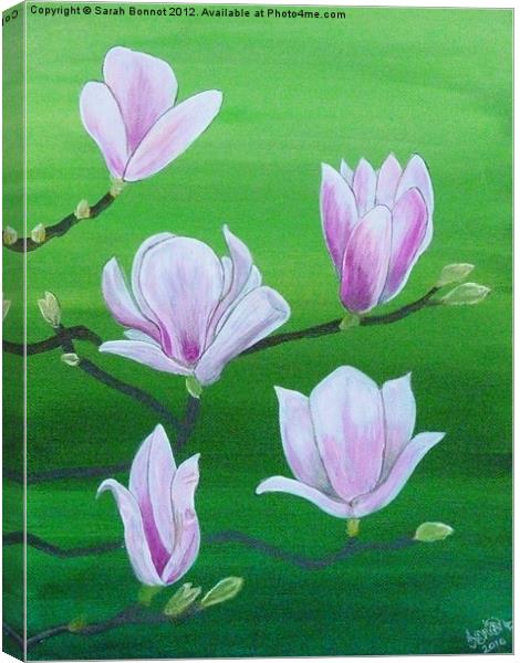 Spring magnolia Canvas Print by Sarah Bonnot