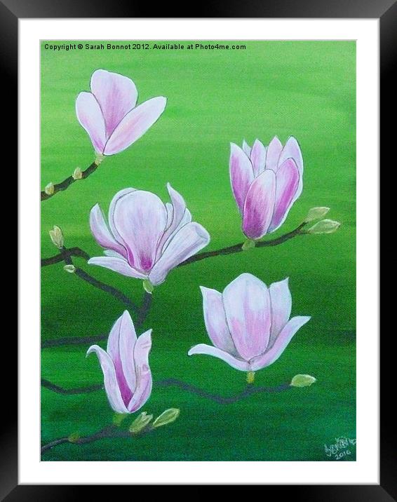 Spring magnolia Framed Mounted Print by Sarah Bonnot