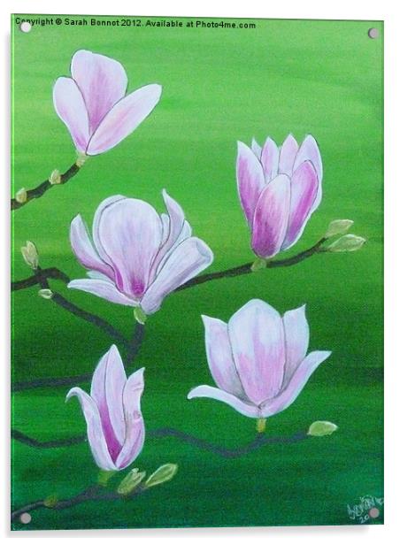 Spring magnolia Acrylic by Sarah Bonnot