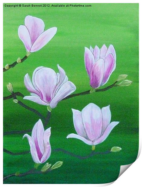 Spring magnolia Print by Sarah Bonnot