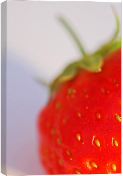 Strawberry Canvas Print by Phil Clements