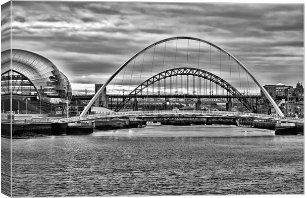 Newcastle Bridges Canvas Print by Northeast Images