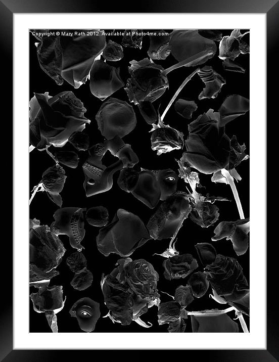 Infrared Flowers #5 Framed Mounted Print by Mary Rath