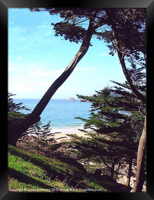 NA Sea view through the Pines Framed Print by james richmond