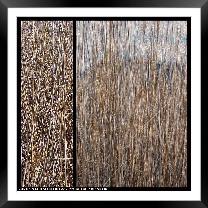 Reeds abstract 2 Framed Mounted Print by Alfani Photography