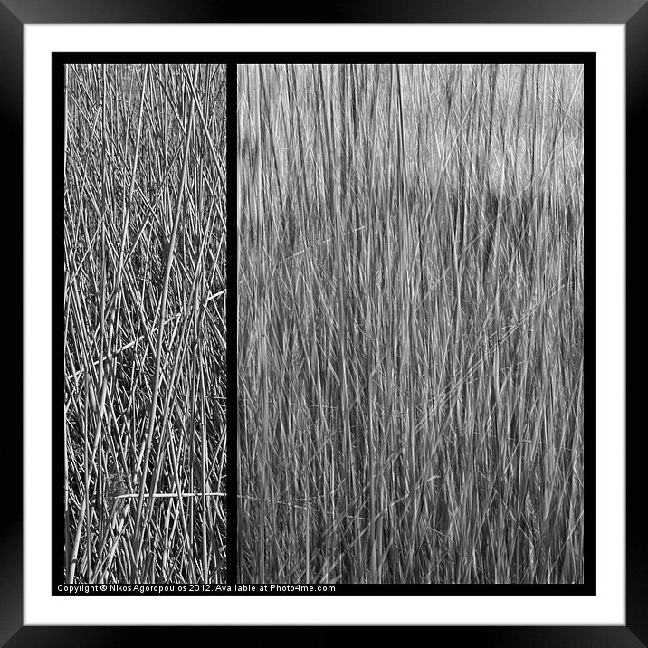 Reeds abstract 4 Framed Mounted Print by Alfani Photography