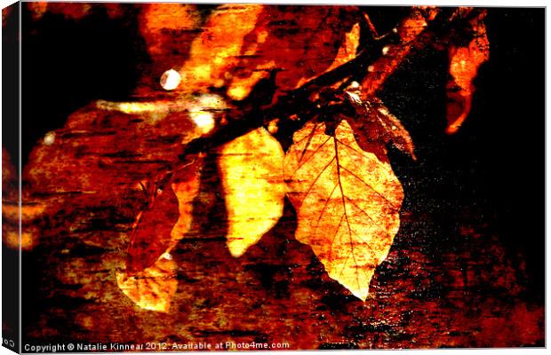 Leaf and Light Abstract Canvas Print by Natalie Kinnear