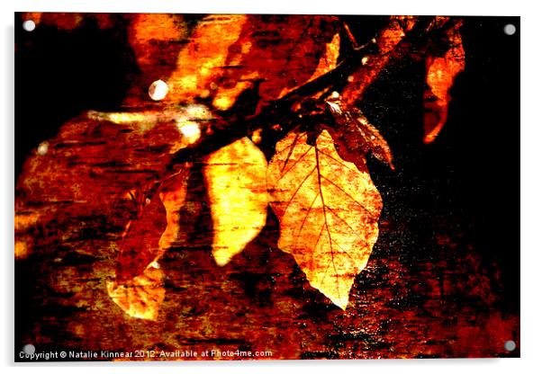 Leaf and Light Abstract Acrylic by Natalie Kinnear