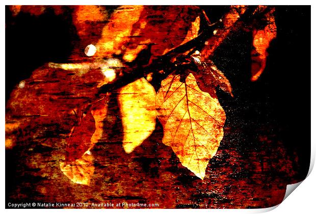 Leaf and Light Abstract Print by Natalie Kinnear