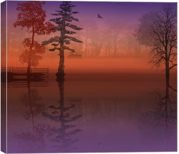 Flooded Fields Canvas Print by John Ellis