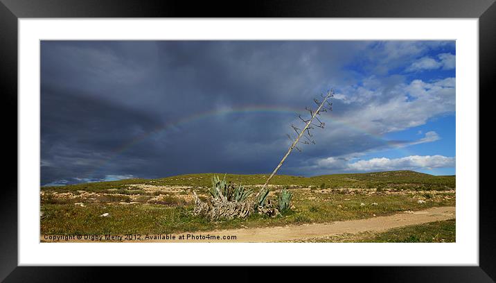 Agave with rainbow Framed Mounted Print by Digby Merry