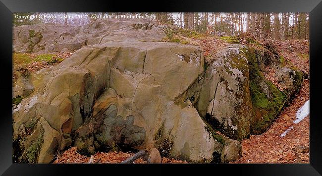 Moss Covered Ledge Framed Print by Peter Castine
