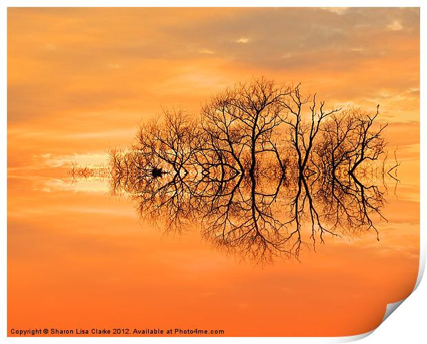 Sunset in March Print by Sharon Lisa Clarke