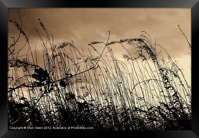 Grass and Sky Framed Print by Stan Owen