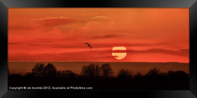 THE BARMING SUN Framed Print by Rob Toombs