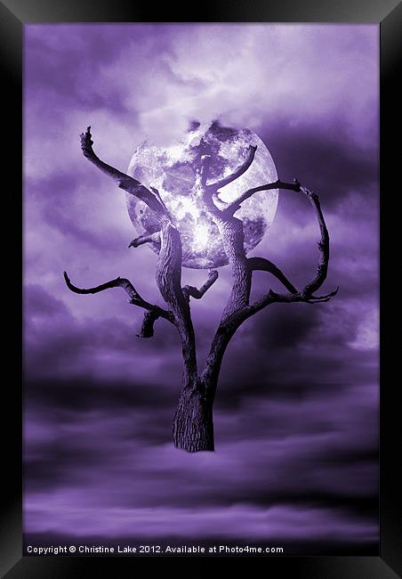 Purple Dreams Framed Print by Christine Lake
