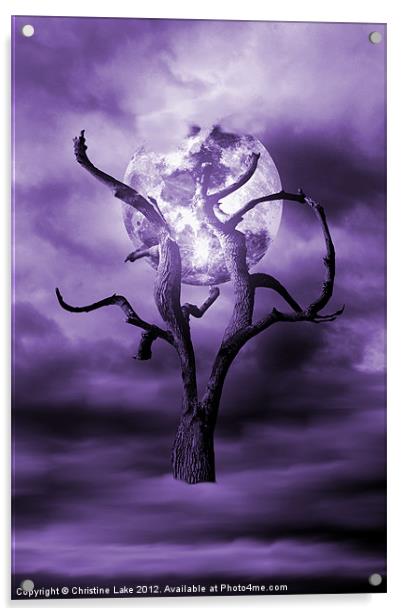 Purple Dreams Acrylic by Christine Lake