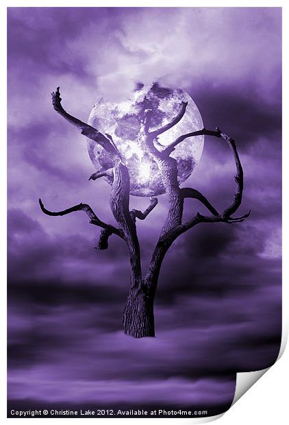 Purple Dreams Print by Christine Lake