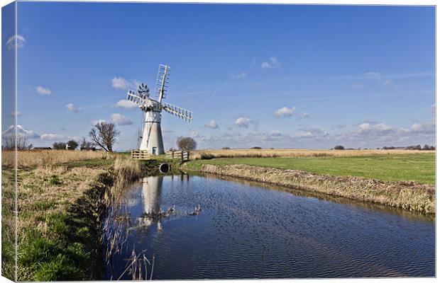 Thurne Mill Canvas Print by Paul Macro
