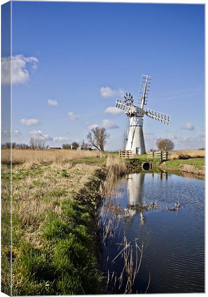Thurne Mill Canvas Print by Paul Macro