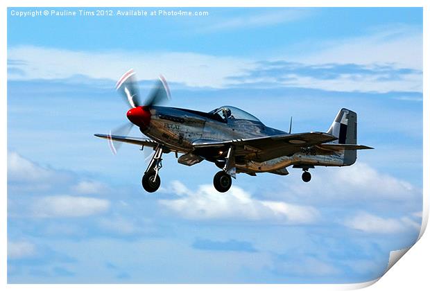 P 15D MUSTANG Print by Pauline Tims