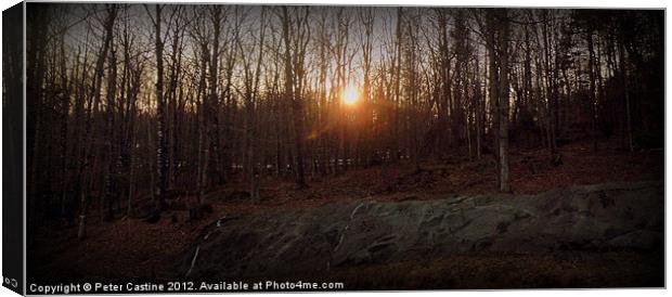 The Setting Sun Canvas Print by Peter Castine