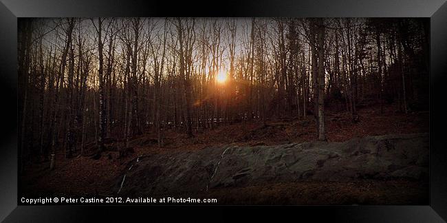 The Setting Sun Framed Print by Peter Castine