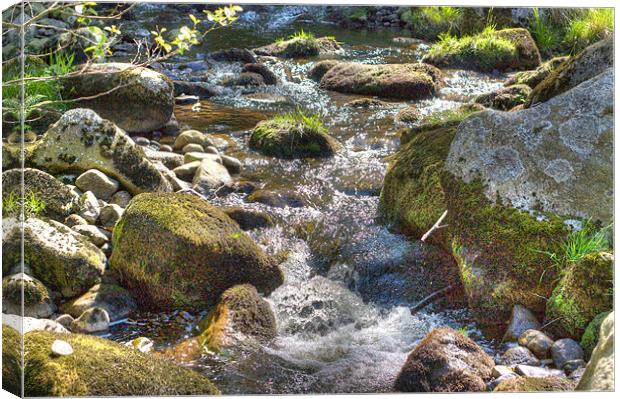 Stream in HDR Canvas Print by David Yeaman