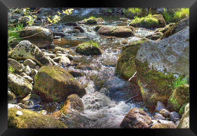 Stream in HDR Framed Print by David Yeaman