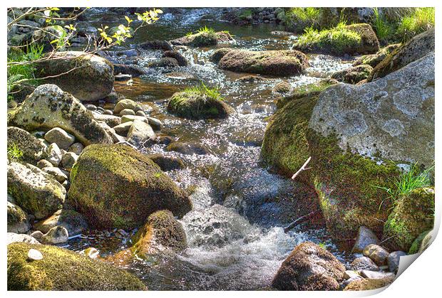 Stream in HDR Print by David Yeaman