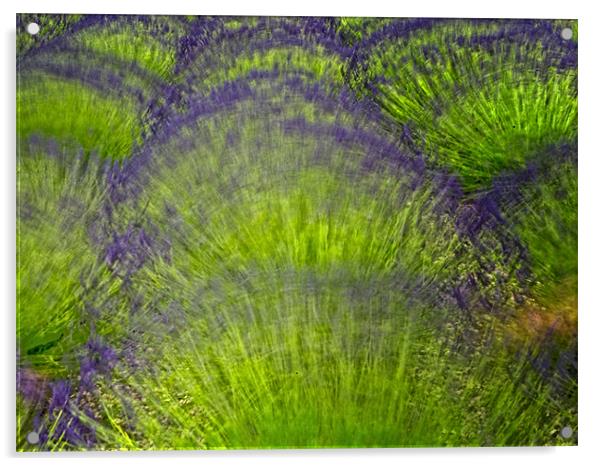 Lavender Abstract Acrylic by Keith Barker