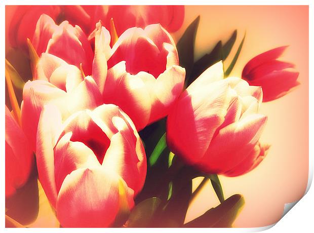 Dreamy Tulips Print by Louise Godwin