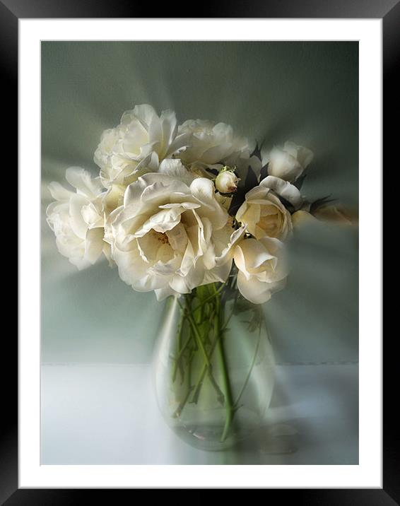 white rose posy Framed Mounted Print by Heather Newton