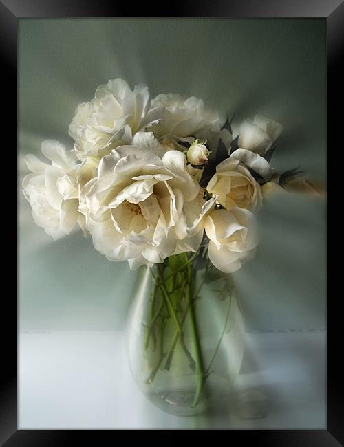 white rose posy Framed Print by Heather Newton
